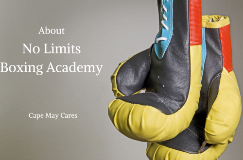 No Limits Boxing Academy hanging gloves