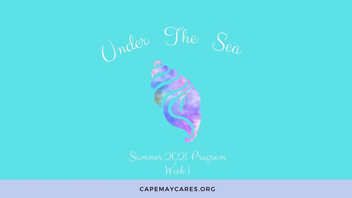 seashell on blue background for cape may cares summer program